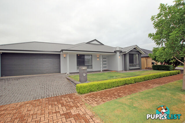 9 Dock Road SEAFORD MEADOWS SA 5169