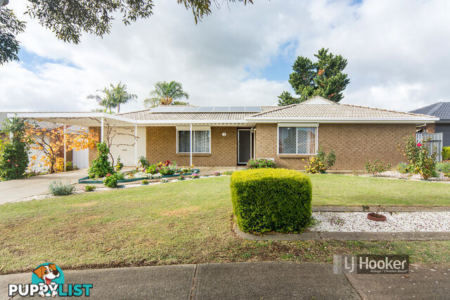 14 Bikila Court MORPHETT VALE SA 5162