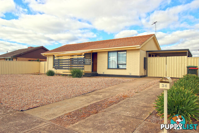 36 Morton Road CHRISTIE DOWNS SA 5164