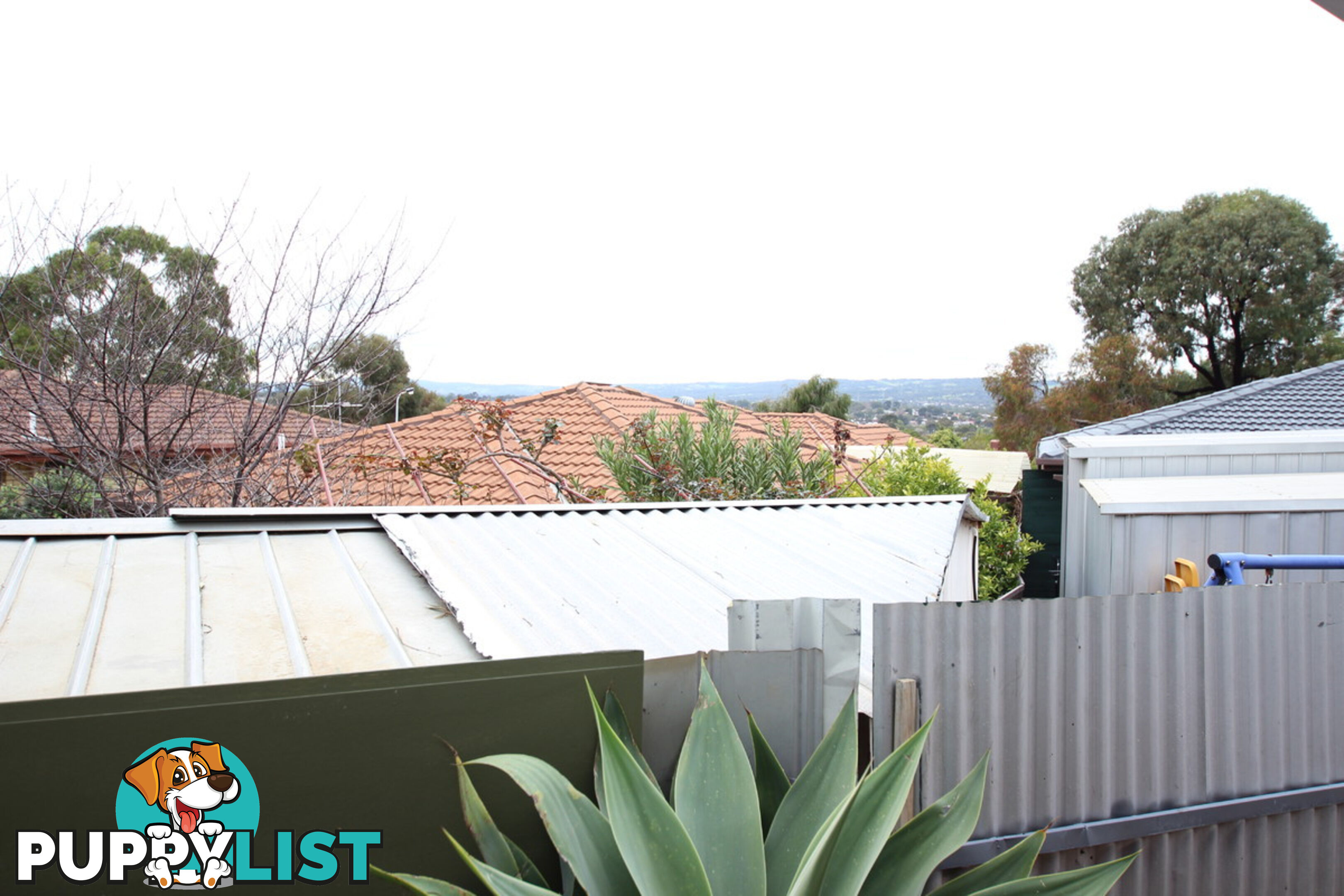 3 Olga Court MORPHETT VALE SA 5162