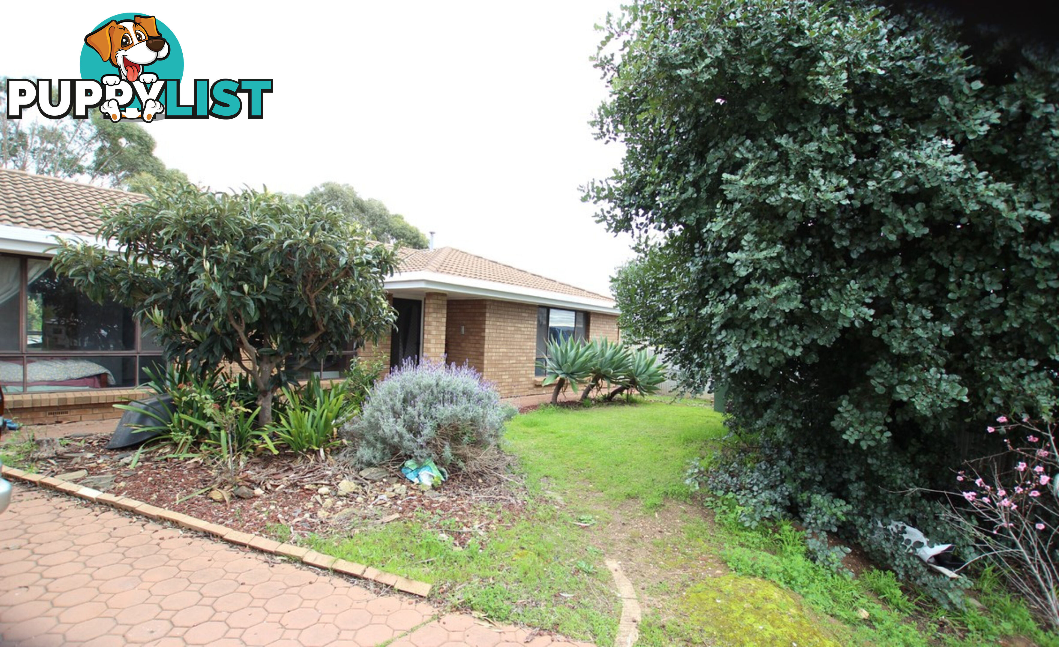 3 Olga Court MORPHETT VALE SA 5162