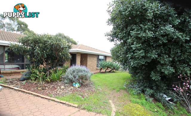 3 Olga Court MORPHETT VALE SA 5162