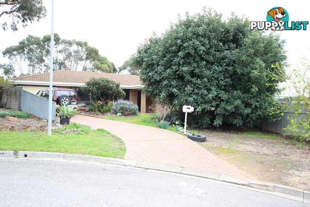 3 Olga Court MORPHETT VALE SA 5162