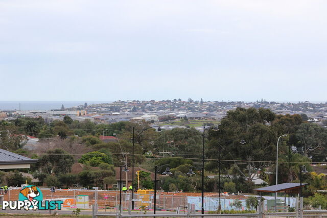 Lot 270/ Observation Road SEAFORD HEIGHTS SA 5169