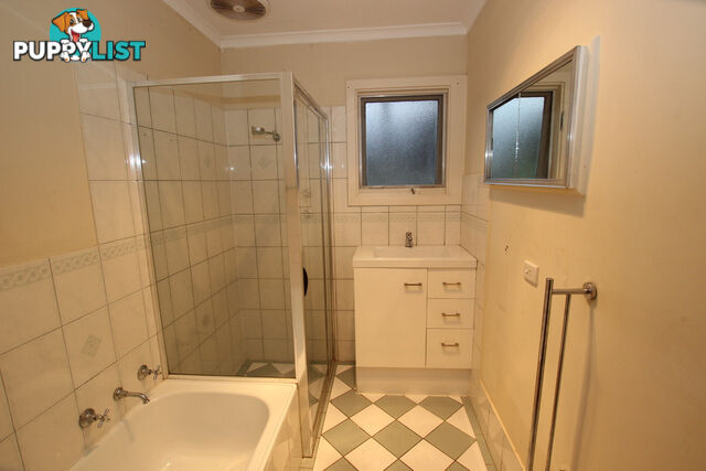 19 Anselm Street CHRISTIE DOWNS SA 5164