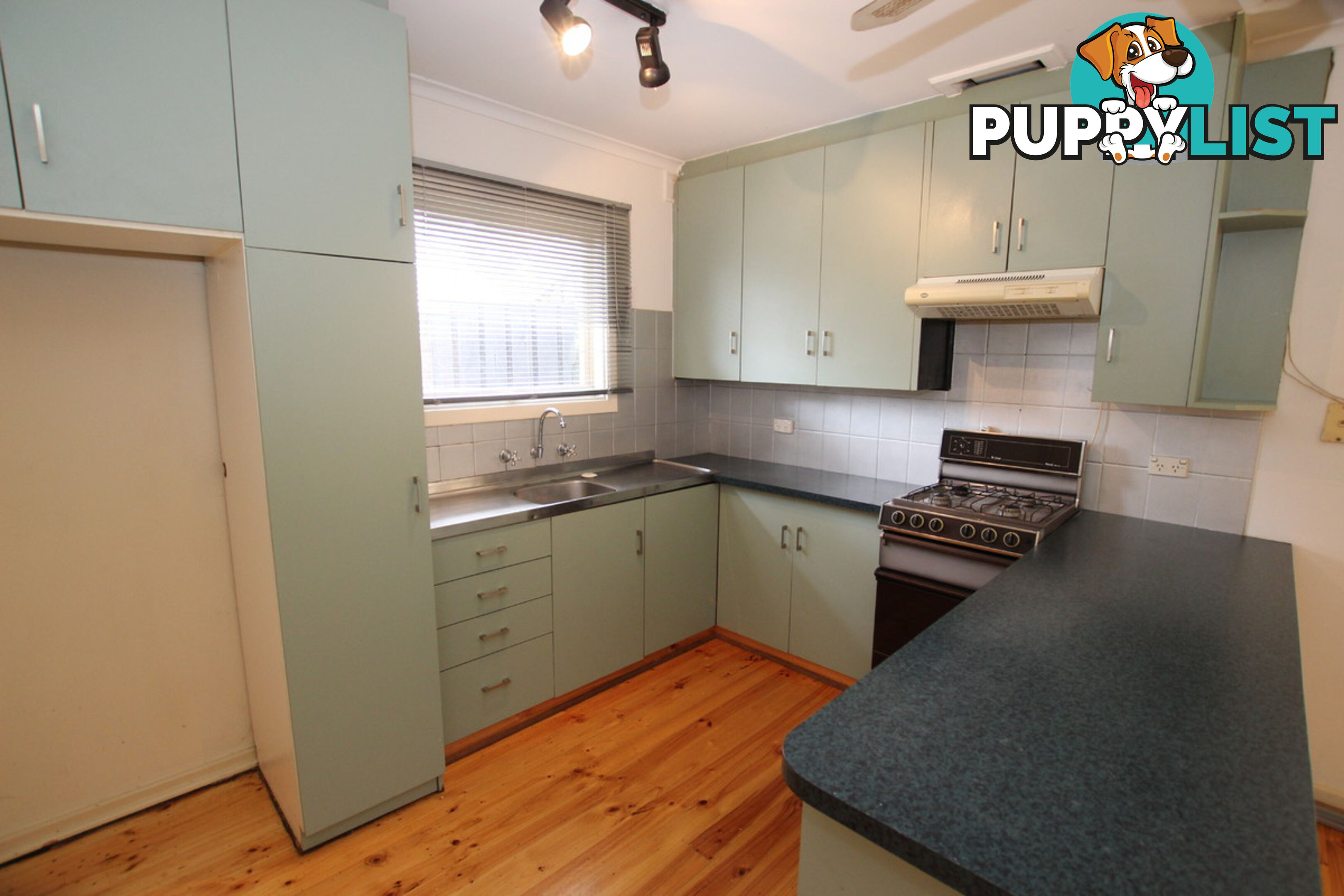 19 Anselm Street CHRISTIE DOWNS SA 5164