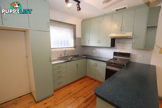 19 Anselm Street CHRISTIE DOWNS SA 5164