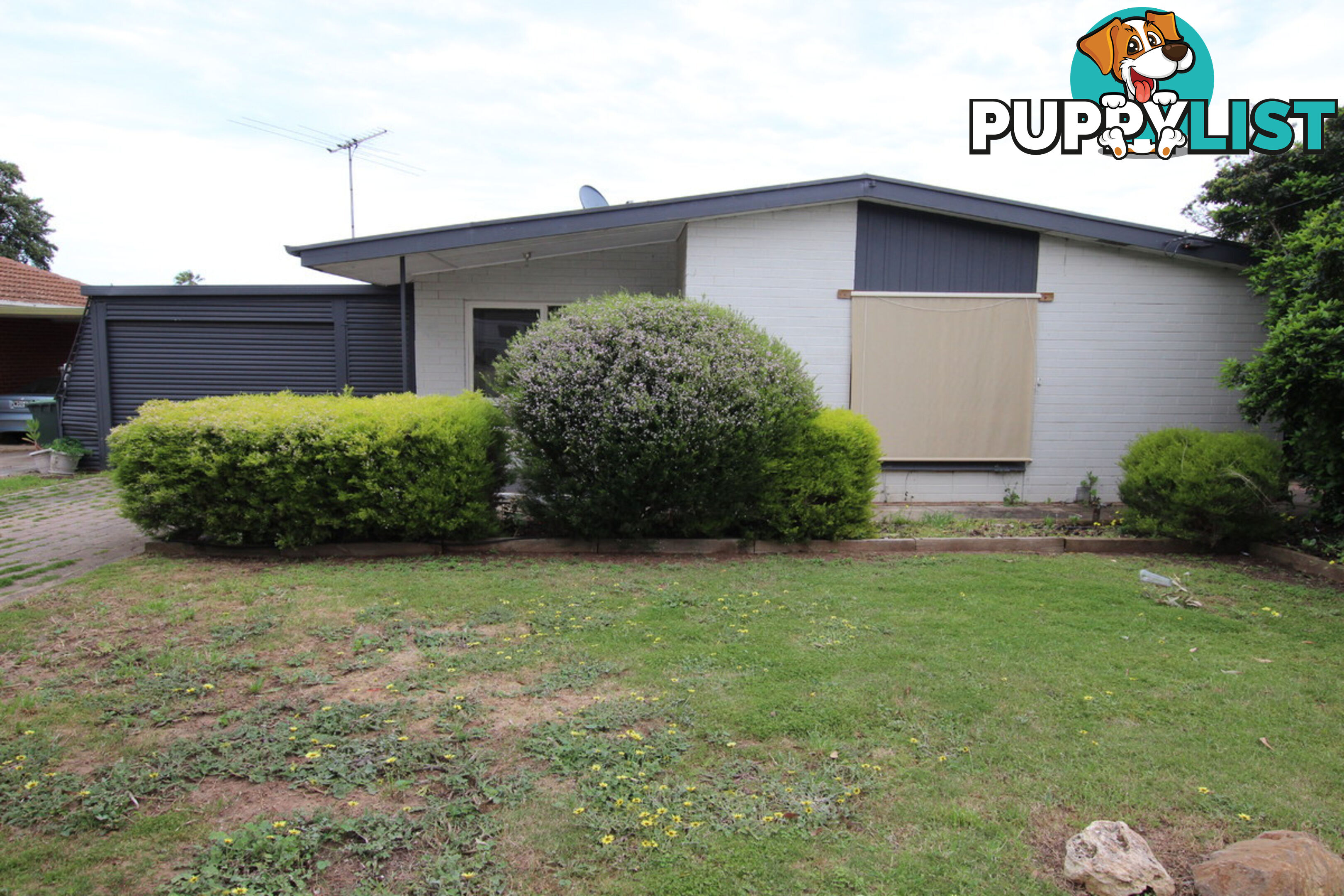 19 Anselm Street CHRISTIE DOWNS SA 5164