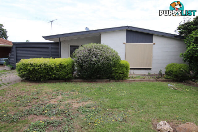 19 Anselm Street CHRISTIE DOWNS SA 5164