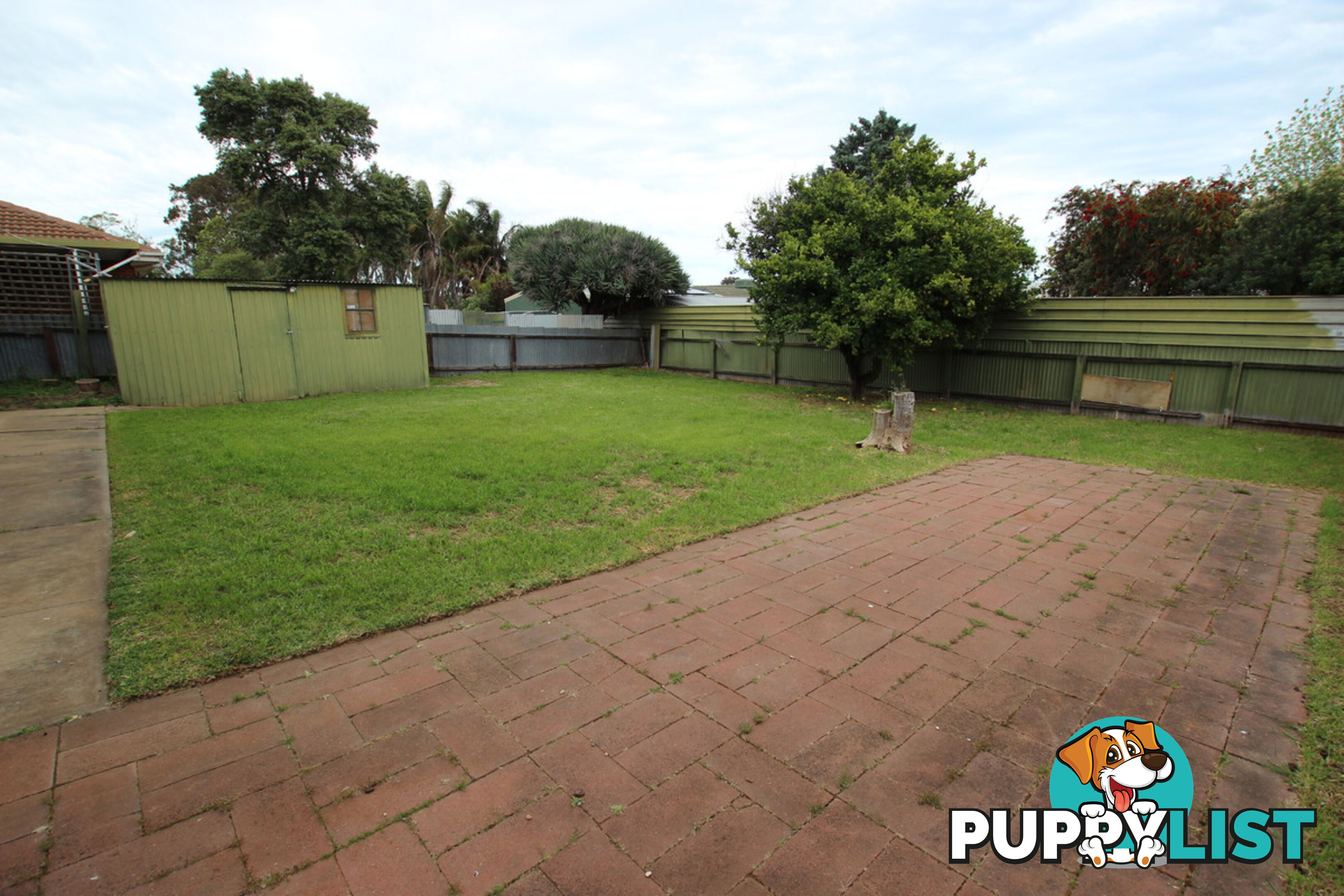 19 Anselm Street CHRISTIE DOWNS SA 5164