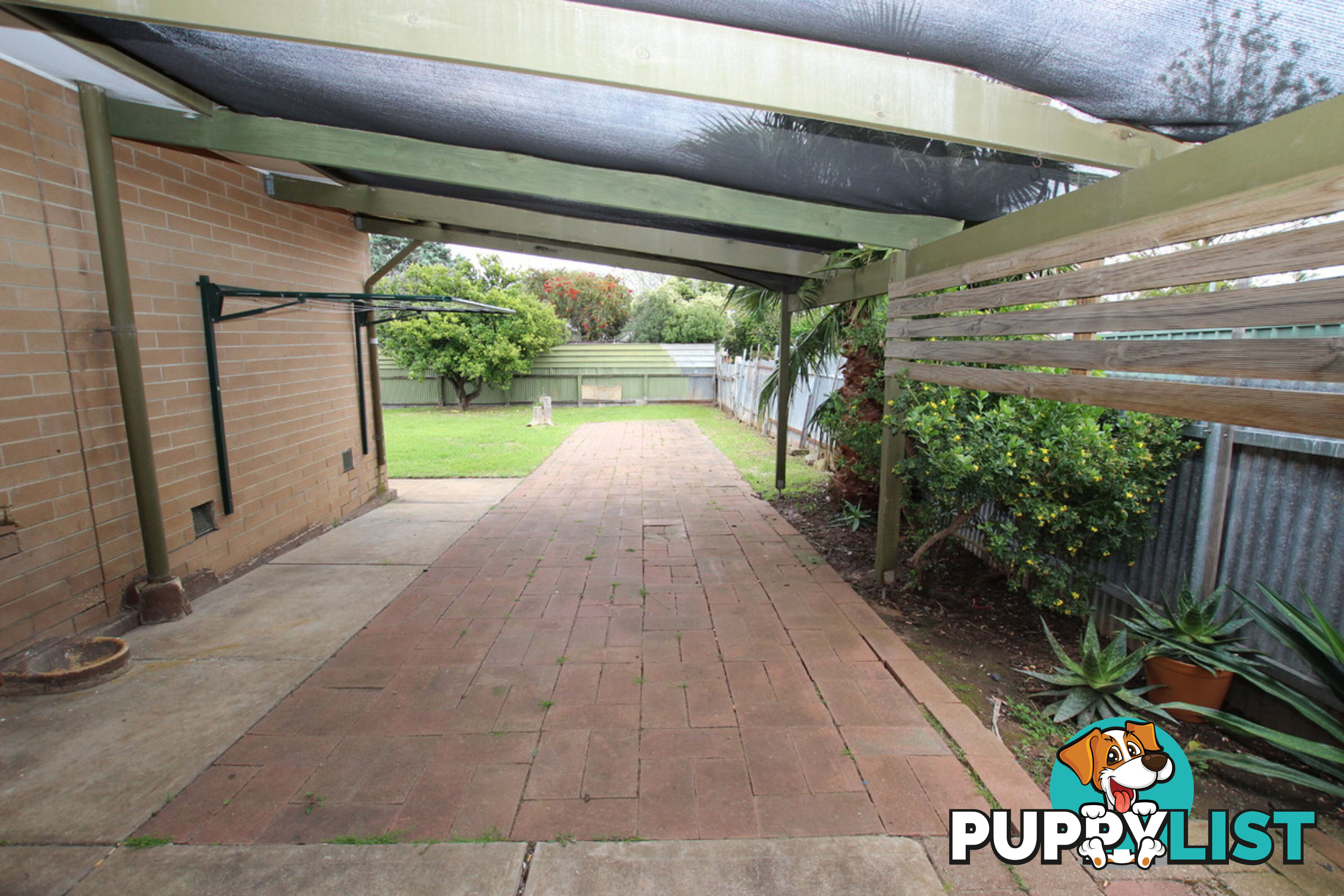 19 Anselm Street CHRISTIE DOWNS SA 5164