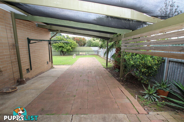19 Anselm Street CHRISTIE DOWNS SA 5164