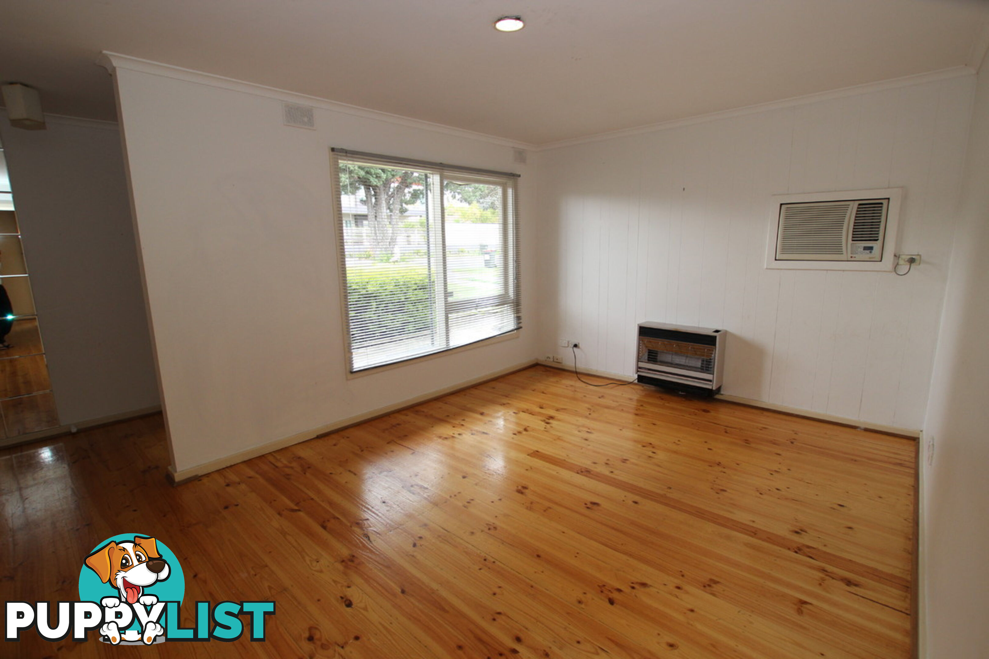 19 Anselm Street CHRISTIE DOWNS SA 5164