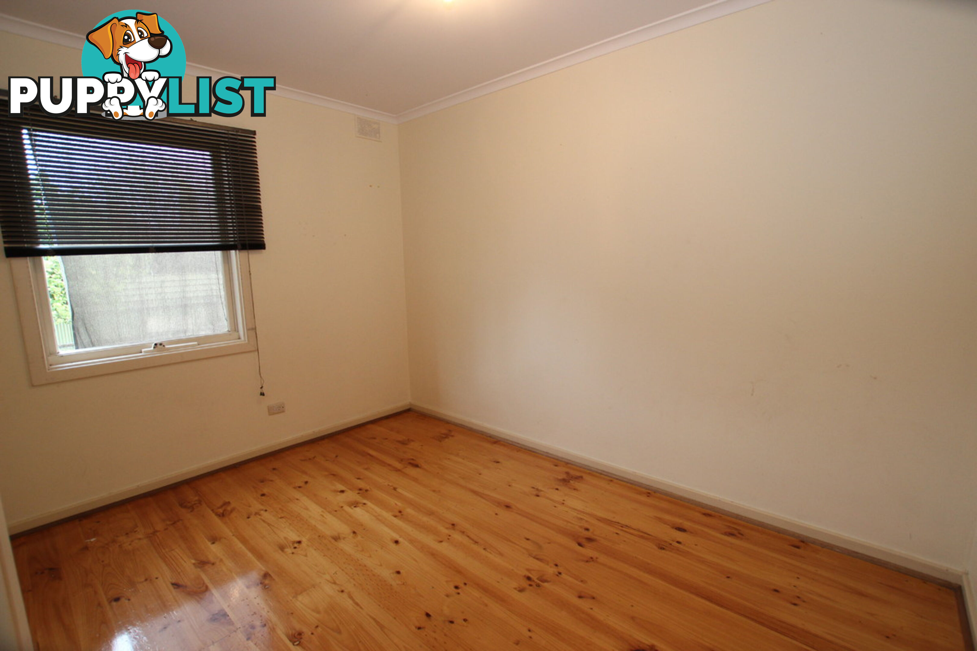19 Anselm Street CHRISTIE DOWNS SA 5164