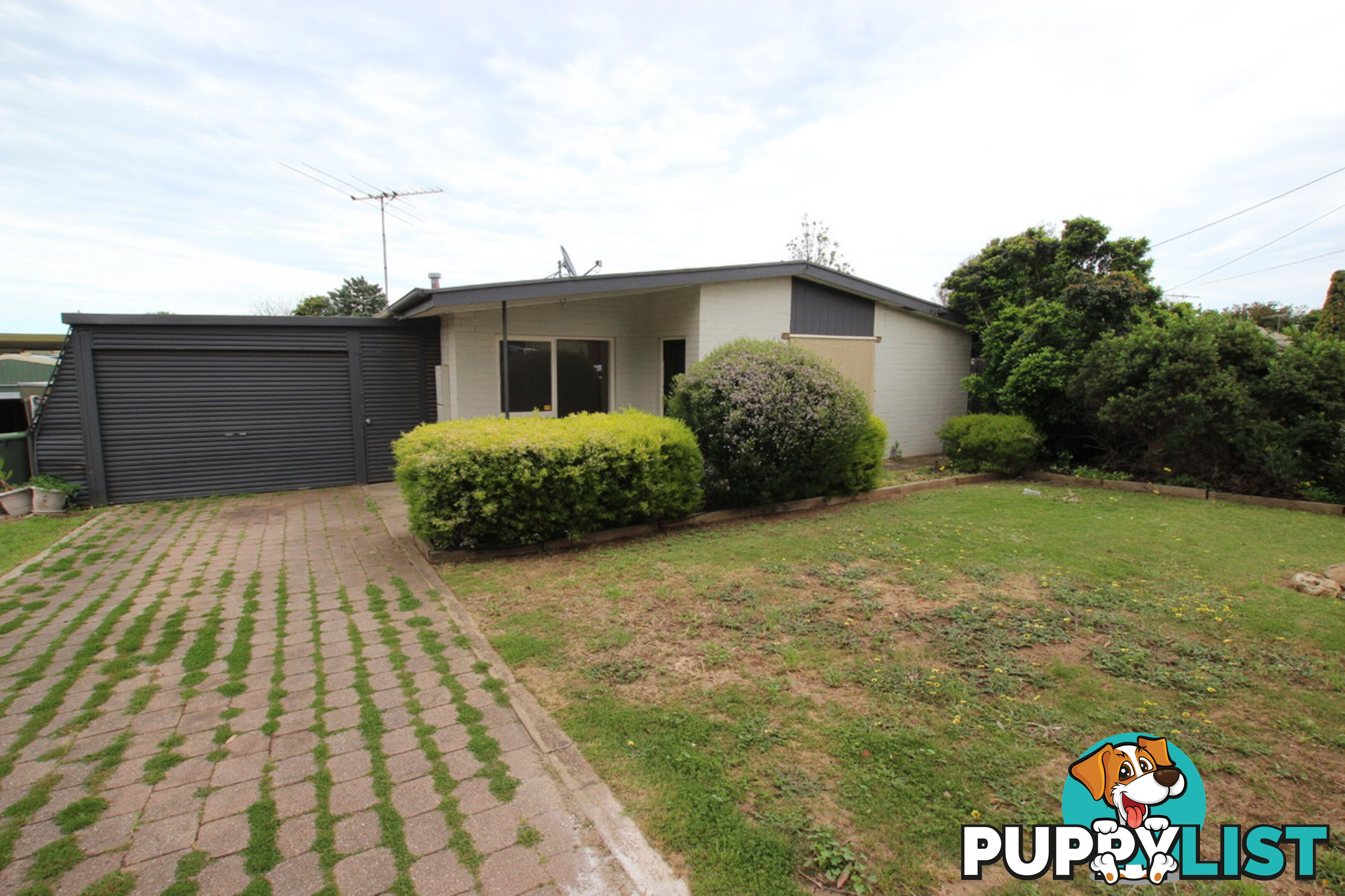 19 Anselm Street CHRISTIE DOWNS SA 5164
