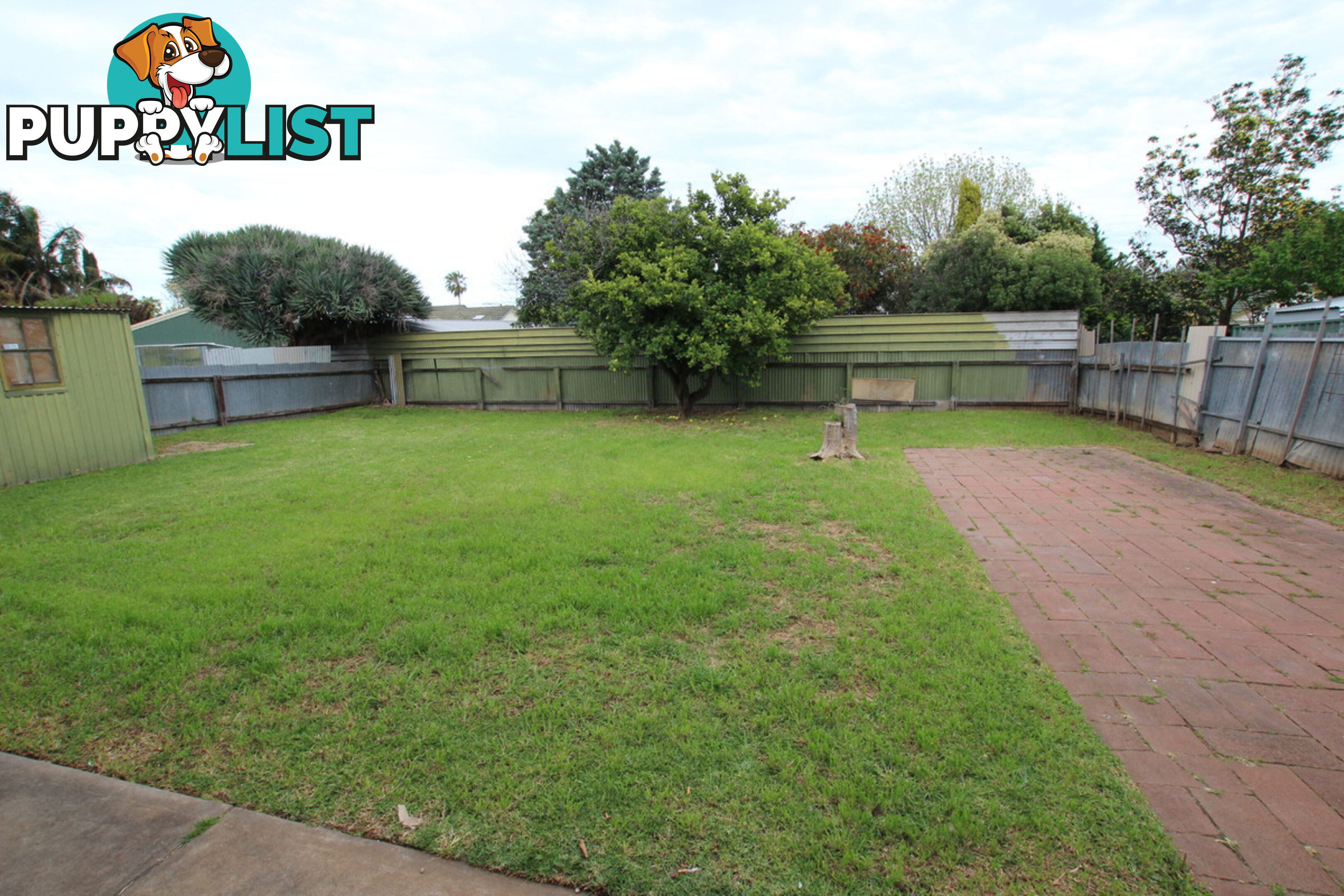 19 Anselm Street CHRISTIE DOWNS SA 5164