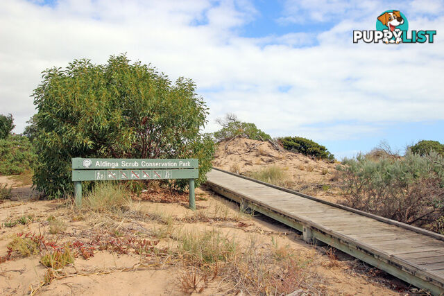 13/209 Esplanade ALDINGA BEACH SA 5173