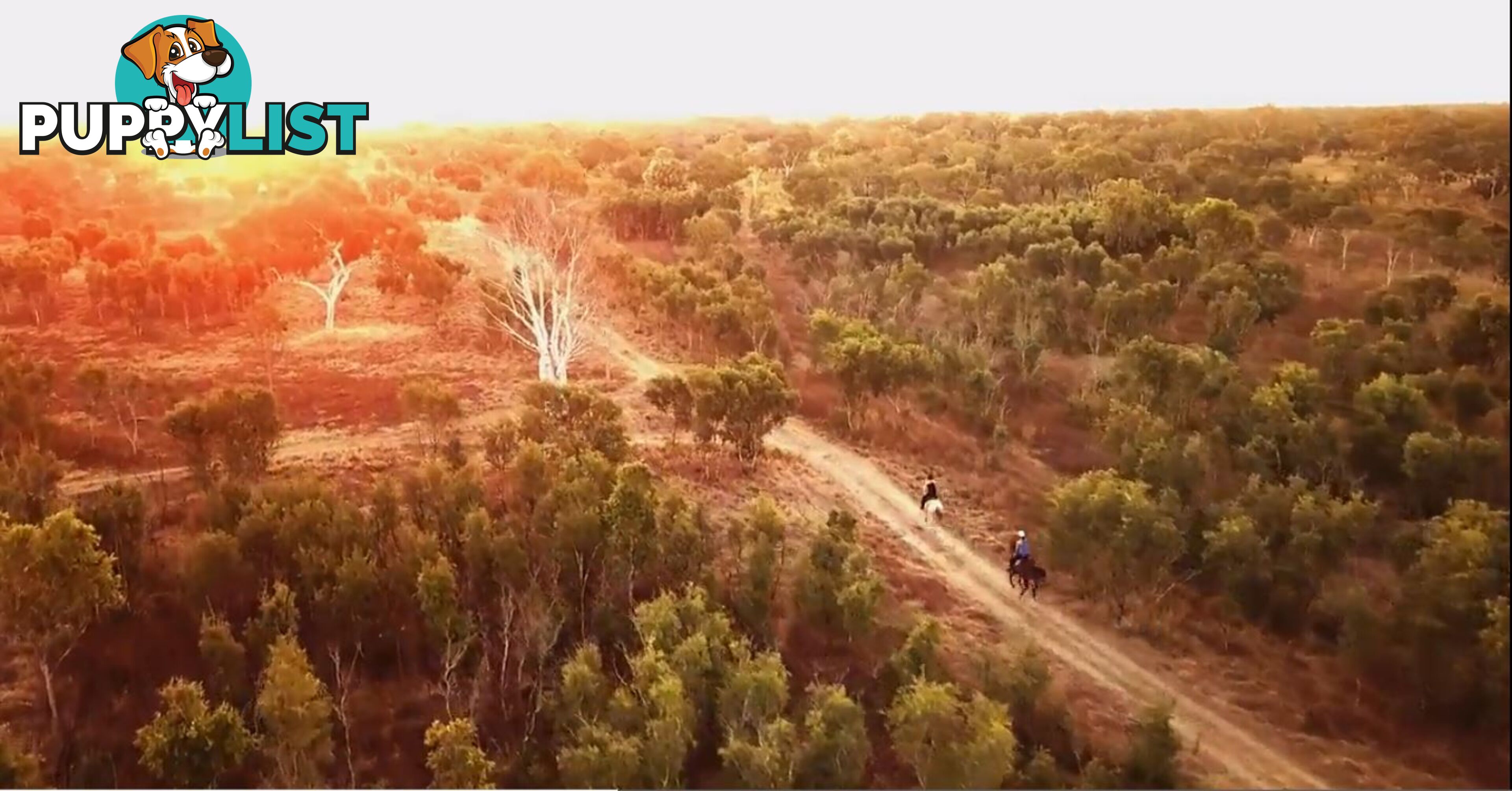 Lots 9000/9001 Gibb River Road DERBY WA 6728