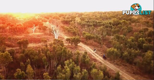 Lots 9000/9001 Gibb River Road DERBY WA 6728