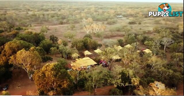 Lots 9000/9001 Gibb River Road DERBY WA 6728