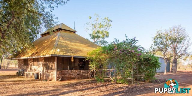 Lots 9000/9001 Gibb River Road DERBY WA 6728