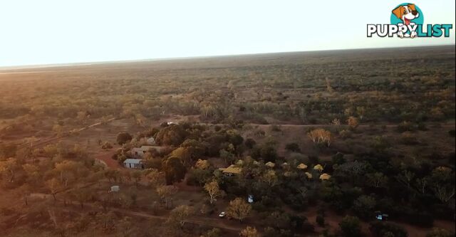 Lots 9000/9001 Gibb River Road DERBY WA 6728