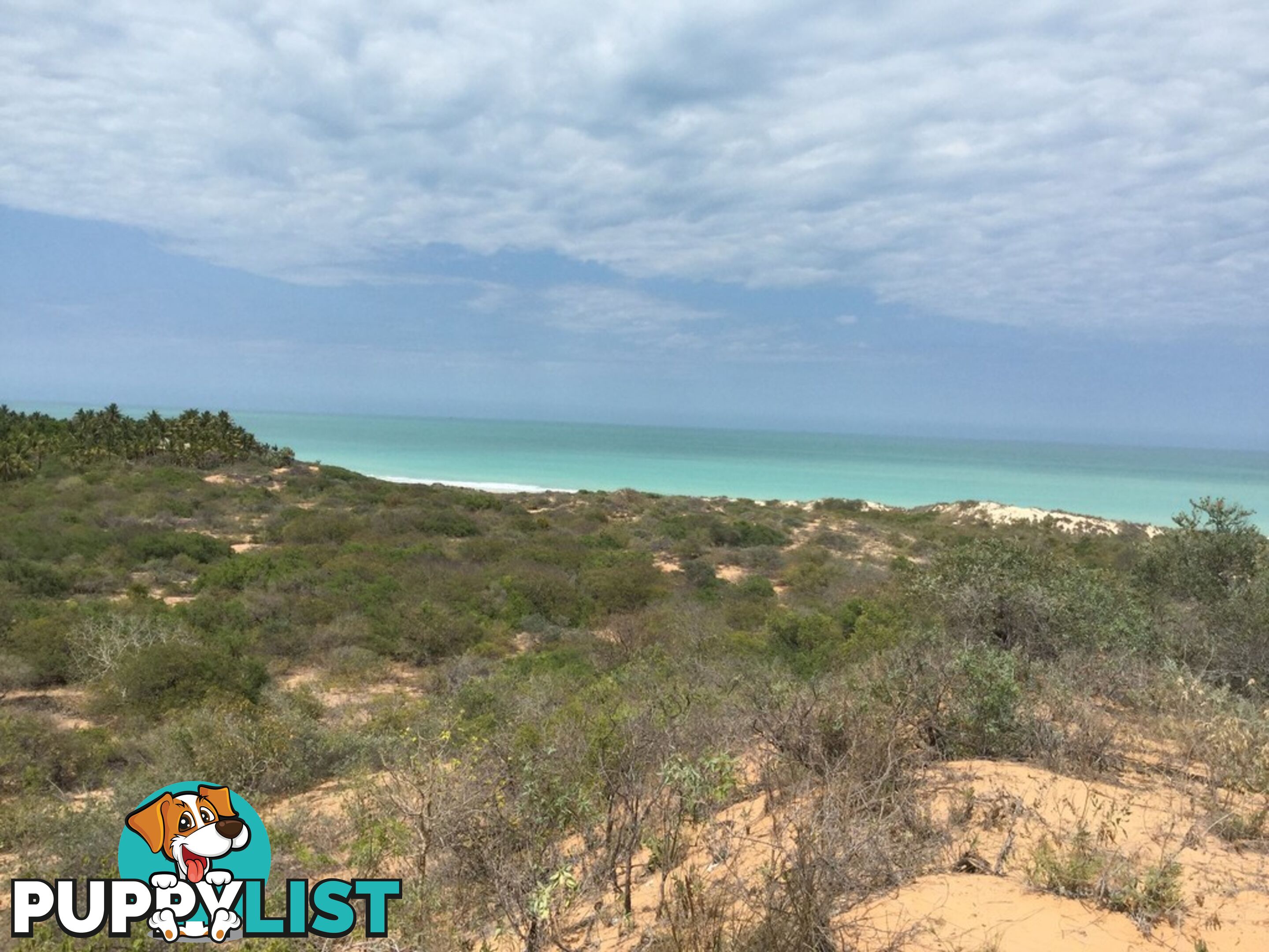 Lot 51 Coucal CABLE BEACH WA 6726