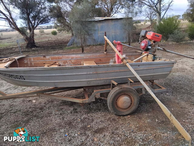 12ft tinny new motor trailer included