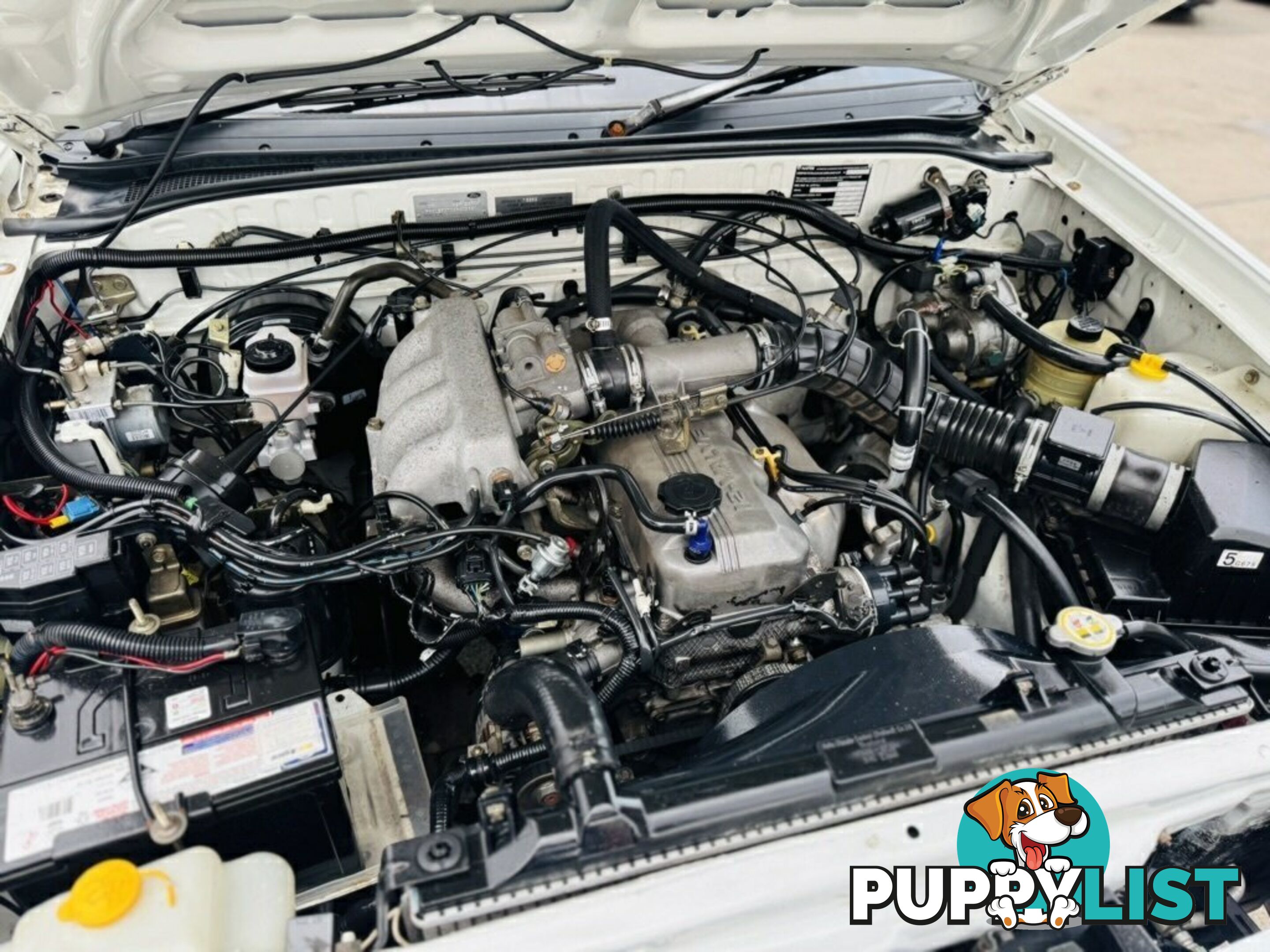 2004 Ford Courier XL PG Crew Cab Pickup