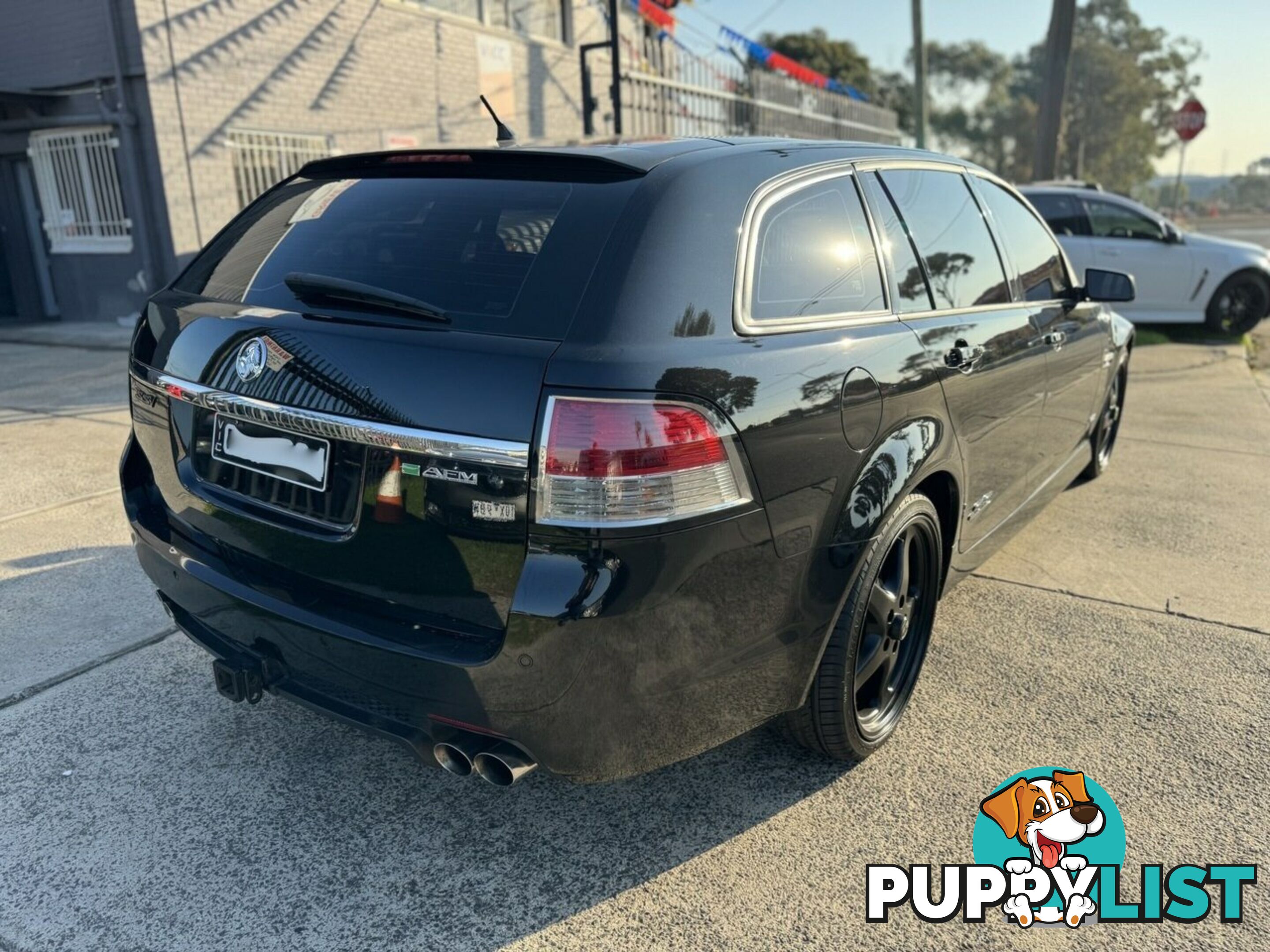 2009 Holden Commodore SS-V SE VE MY10 Sportswagon