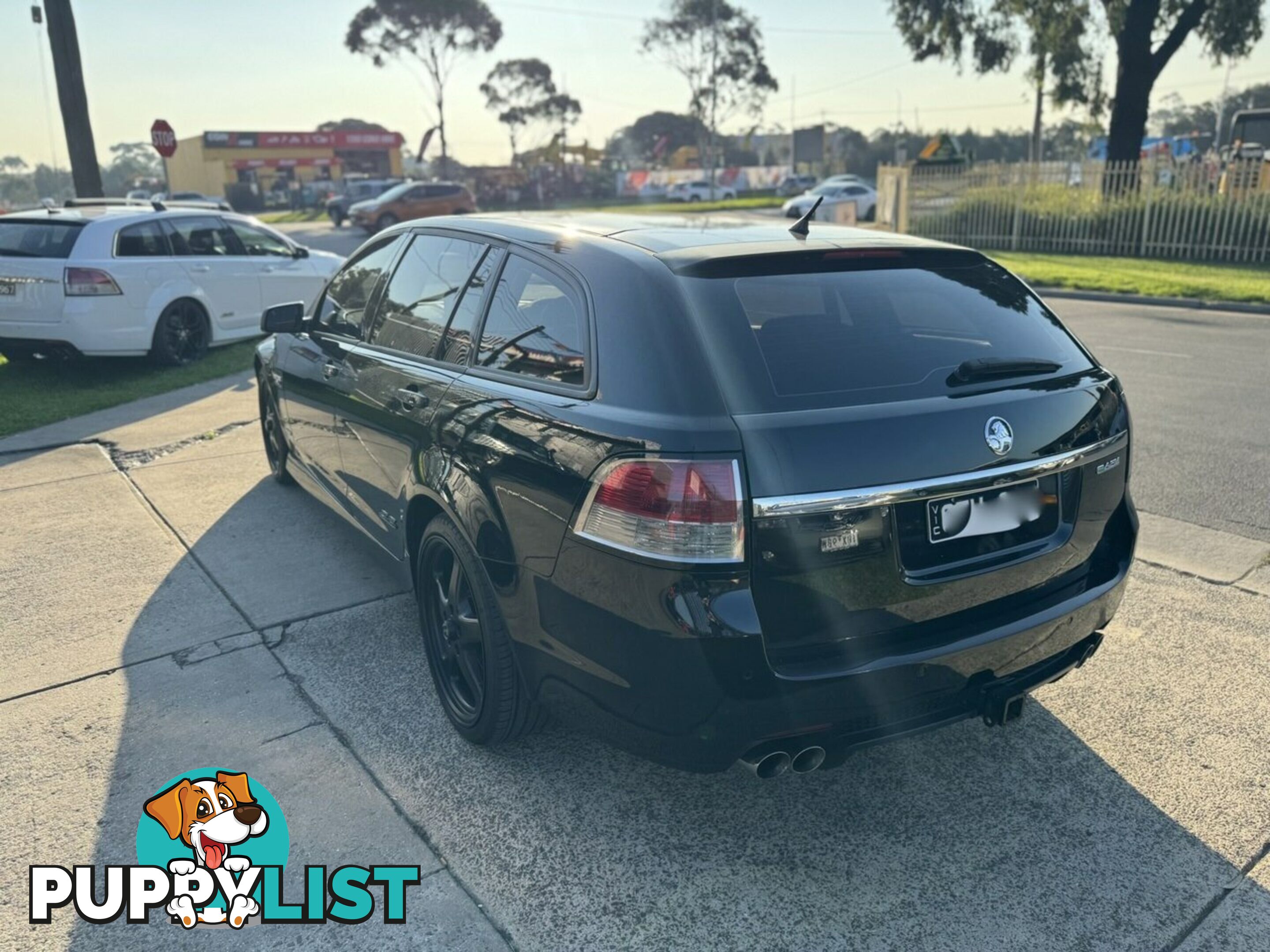 2009 Holden Commodore SS-V SE VE MY10 Sportswagon