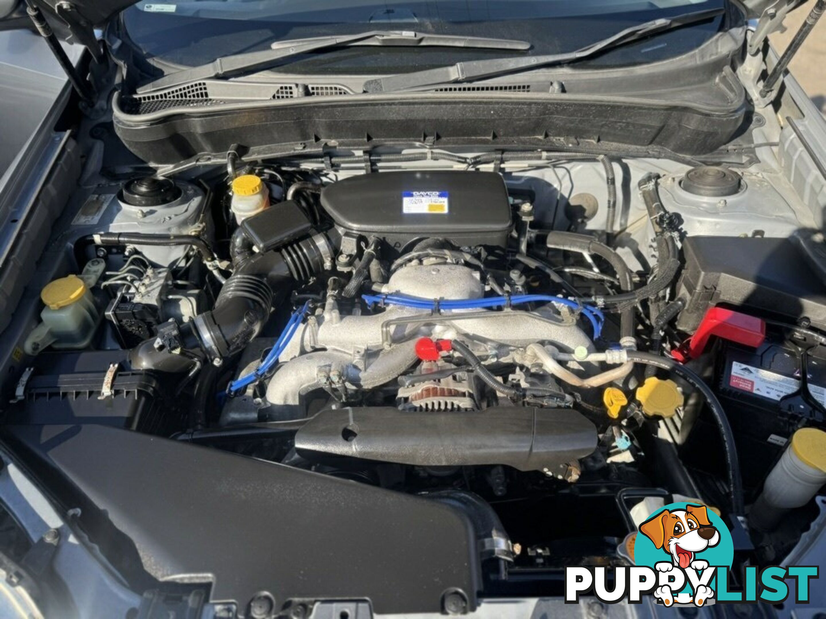2008 Subaru Forester XS Premium MY09 Wagon