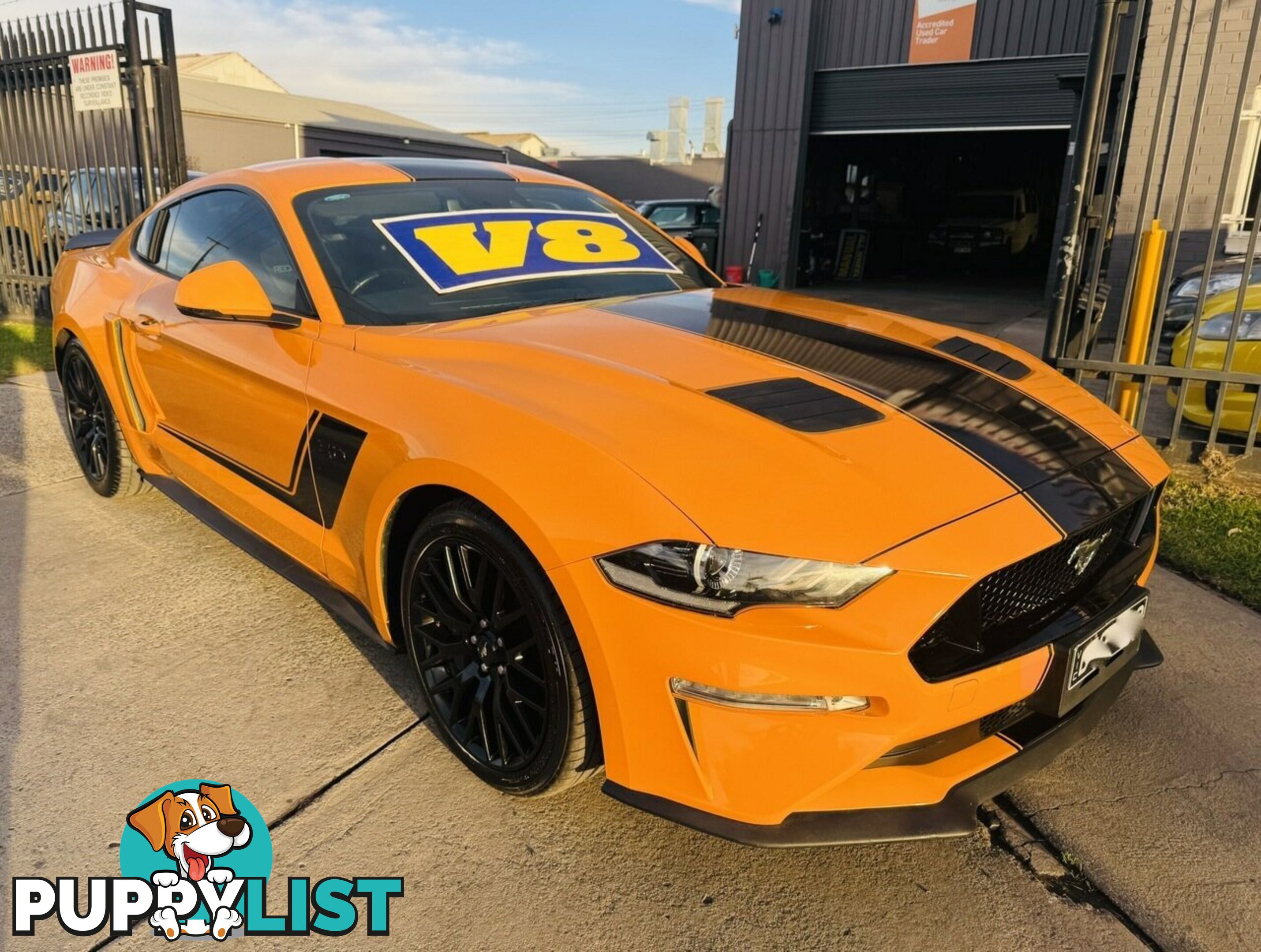 2019 Ford Mustang Fastback GT 5.0 V8 FN Coupe