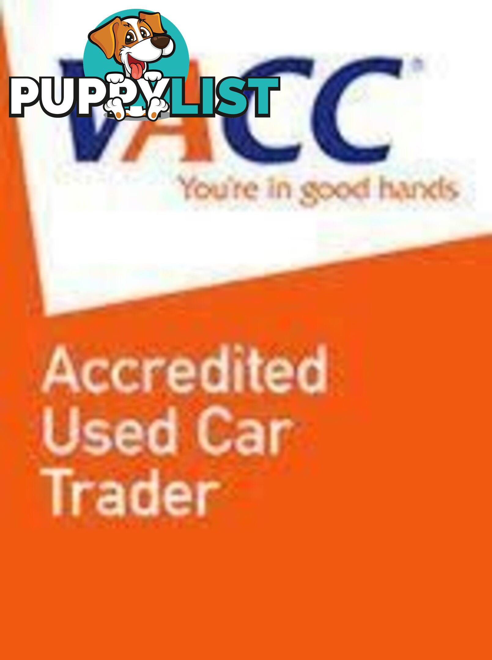 2008 Holden Berlina  VE MY09.5 Sportswagon
