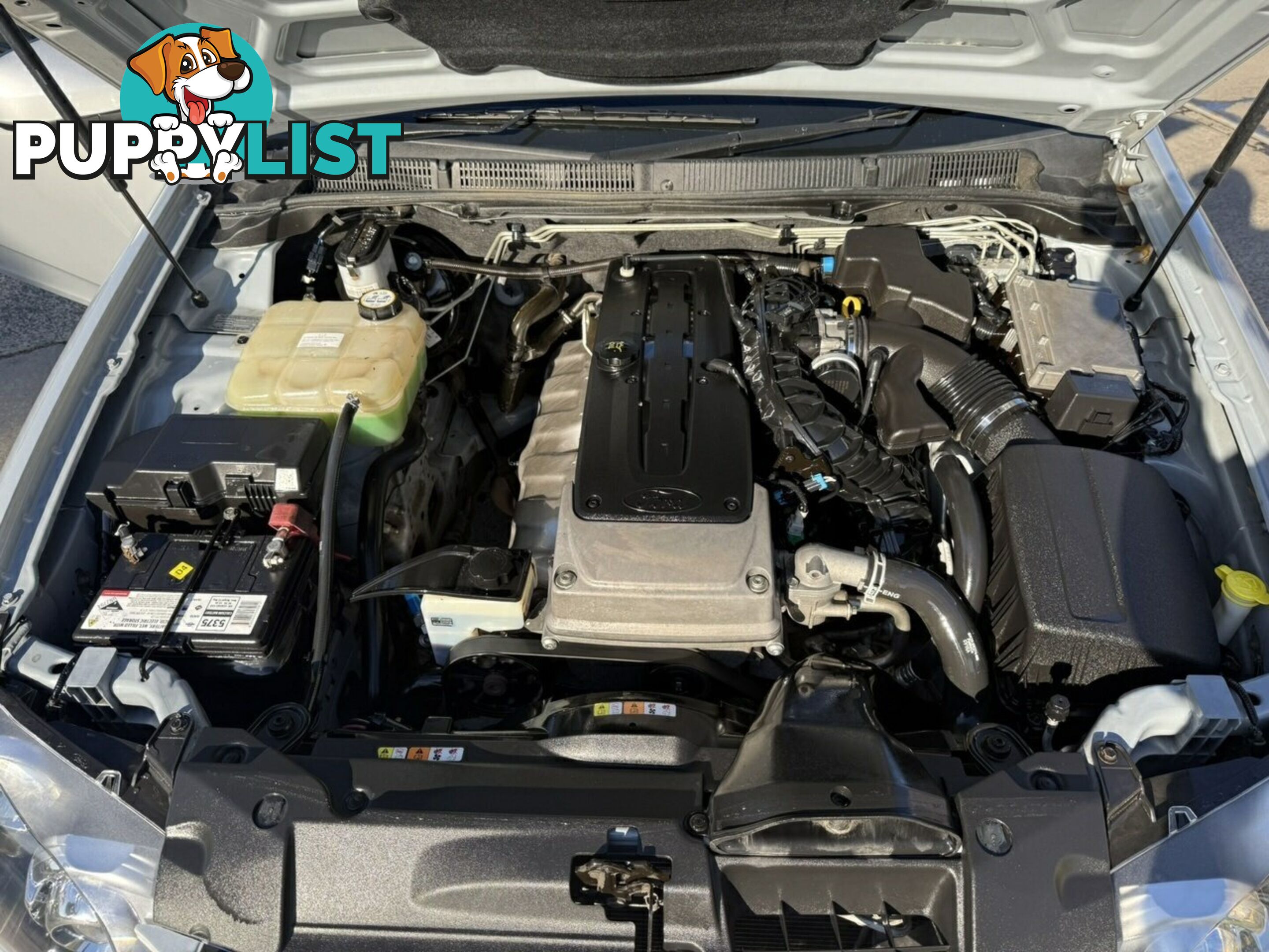 2013 Ford Falcon XR6 (LPi) FG MK2 Utility