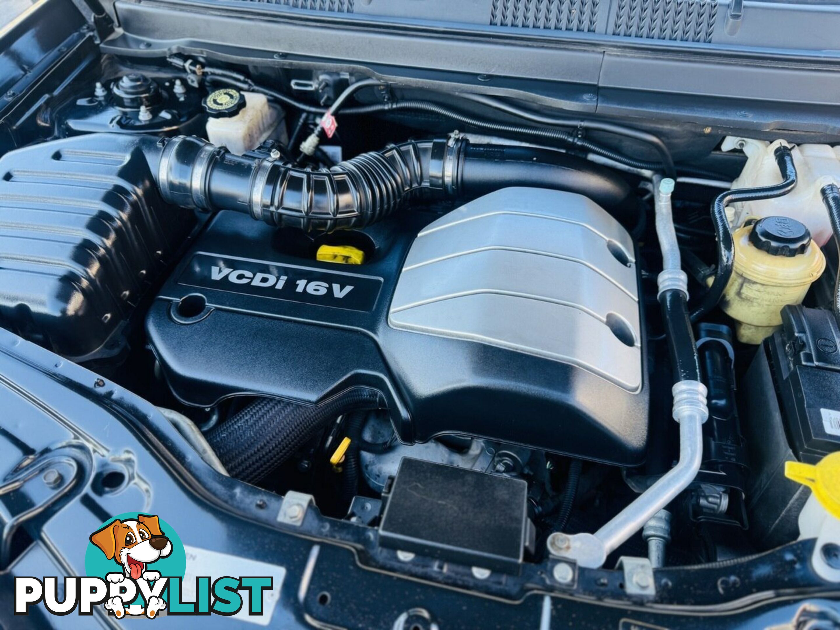 2009 Holden Captiva LX (4x4) CG MY09.5 Wagon