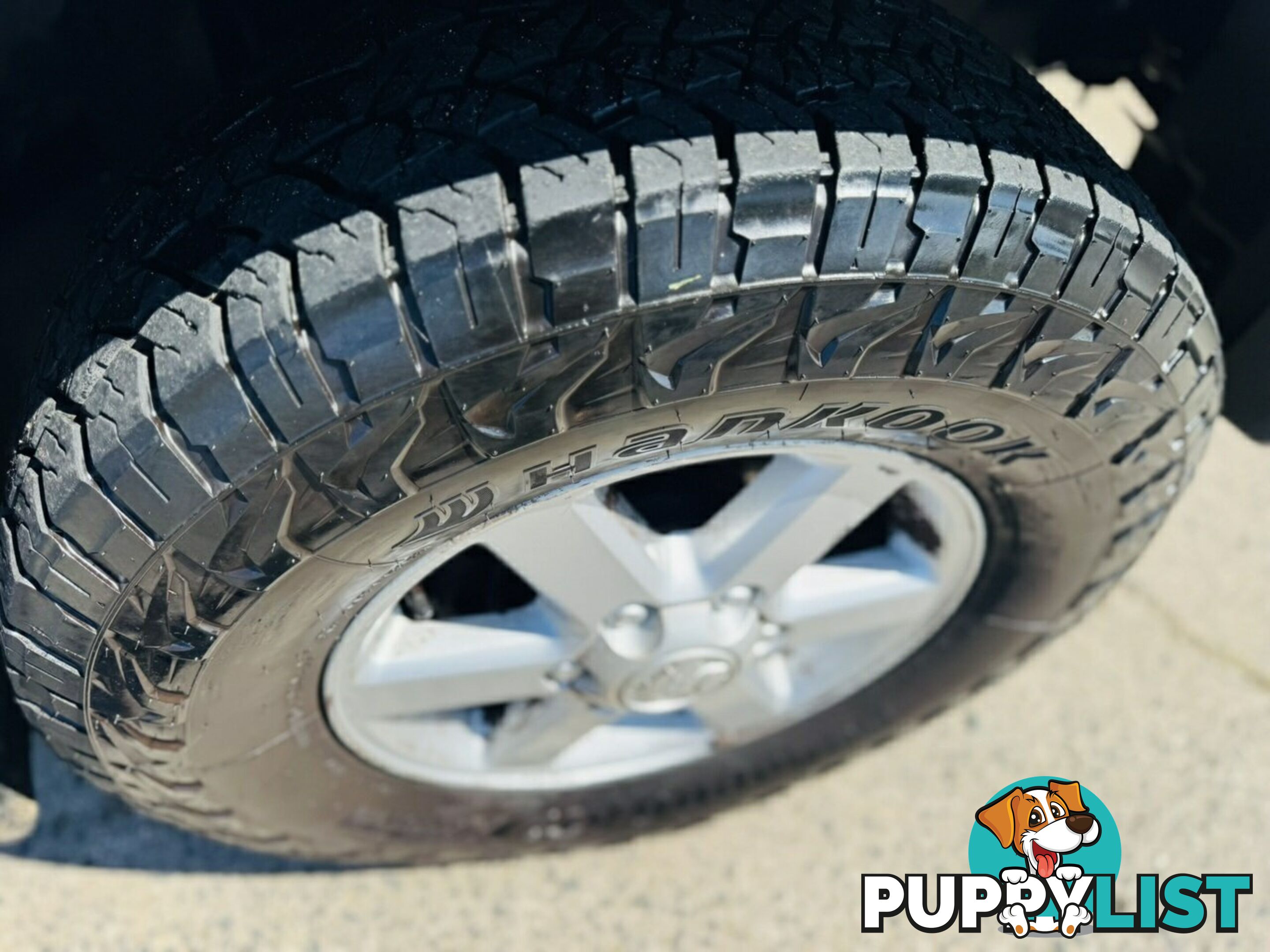 2004 Holden Rodeo LT (4x4) RA Crew Cab Pickup