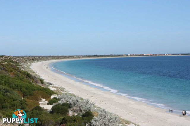 16 Seaside Link SINGLETON WA 6175