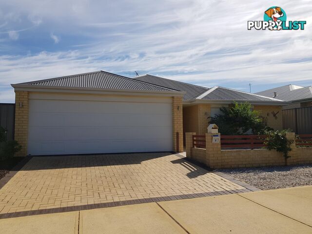 8 Tenterden Way BALDIVIS WA 6171