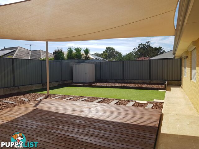 8 Tenterden Way BALDIVIS WA 6171