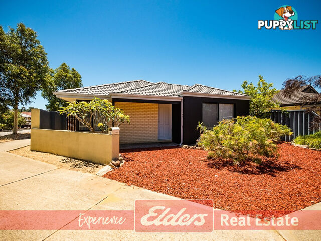 1 Triandra Street BALDIVIS WA 6171