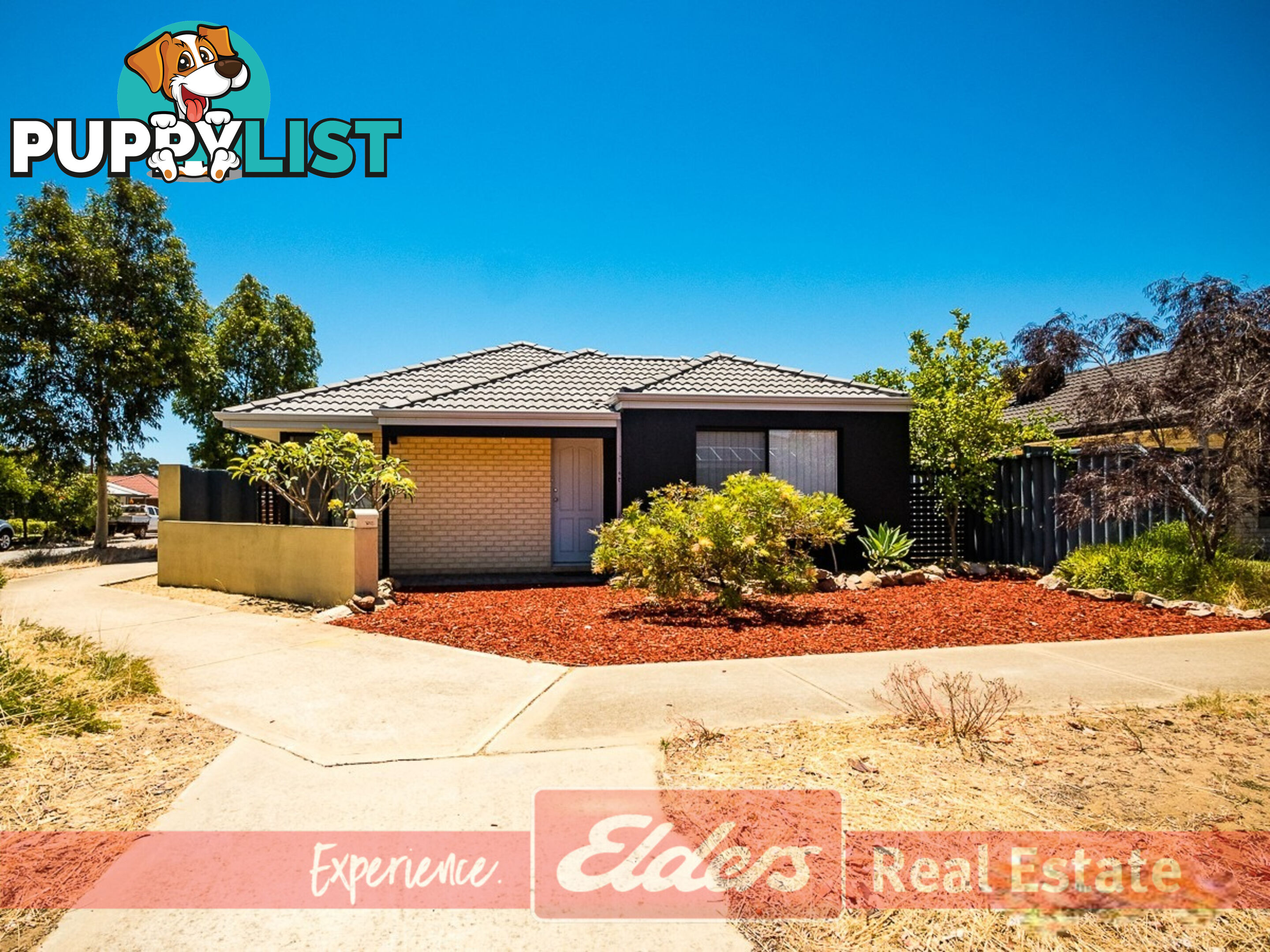 1 Triandra Street BALDIVIS WA 6171