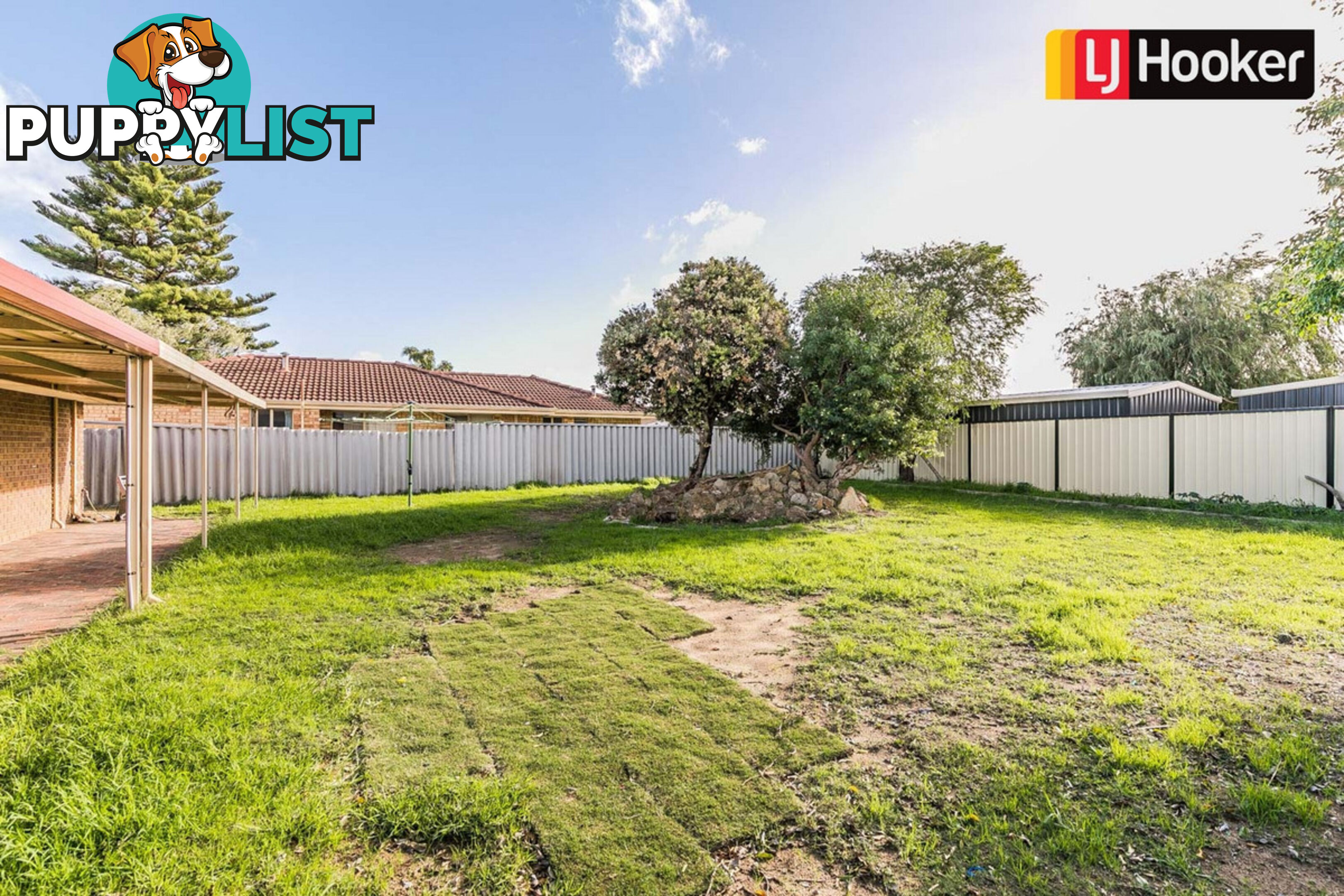 6 Wills Court COOLOONGUP WA 6168