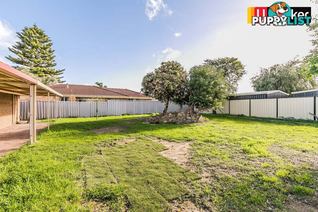 6 Wills Court COOLOONGUP WA 6168