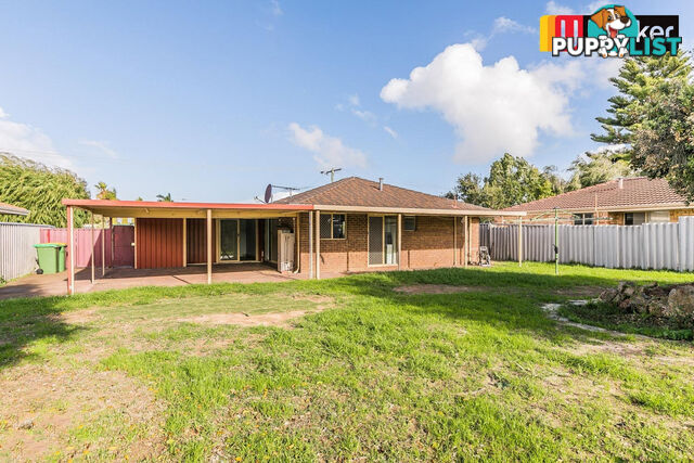 6 Wills Court COOLOONGUP WA 6168