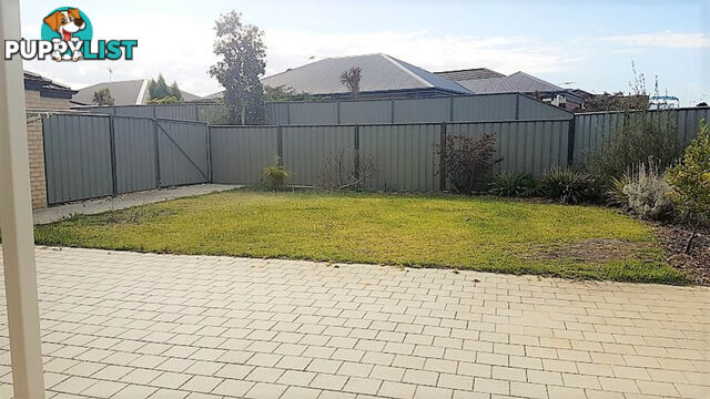 50 Kingaroy Drive BALDIVIS WA 6171