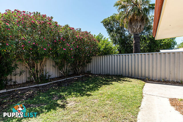 3/8 Houston Street ROCKINGHAM WA 6168