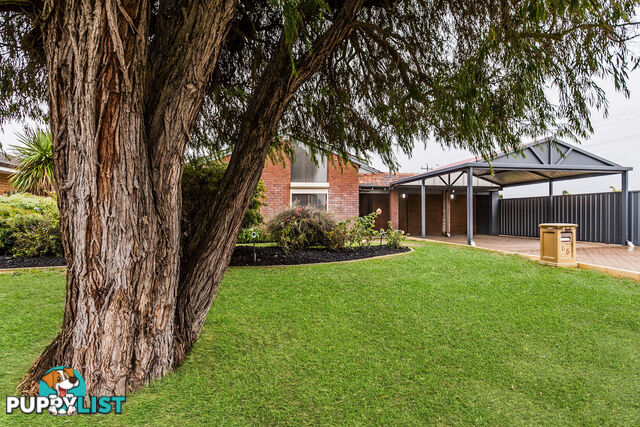 65 Kingsbridge Road WARNBRO WA 6169