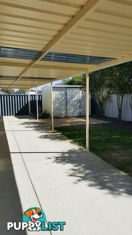 6 Flame Tree Loop BALDIVIS WA 6171