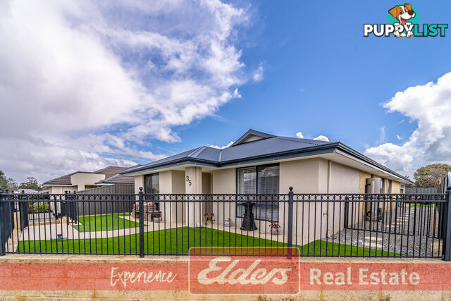 35 Elm Way BALDIVIS WA 6171